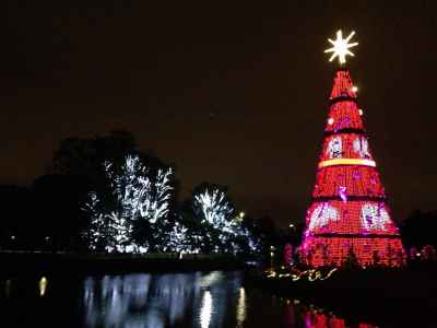 Árvore de Natal Ibirapuera